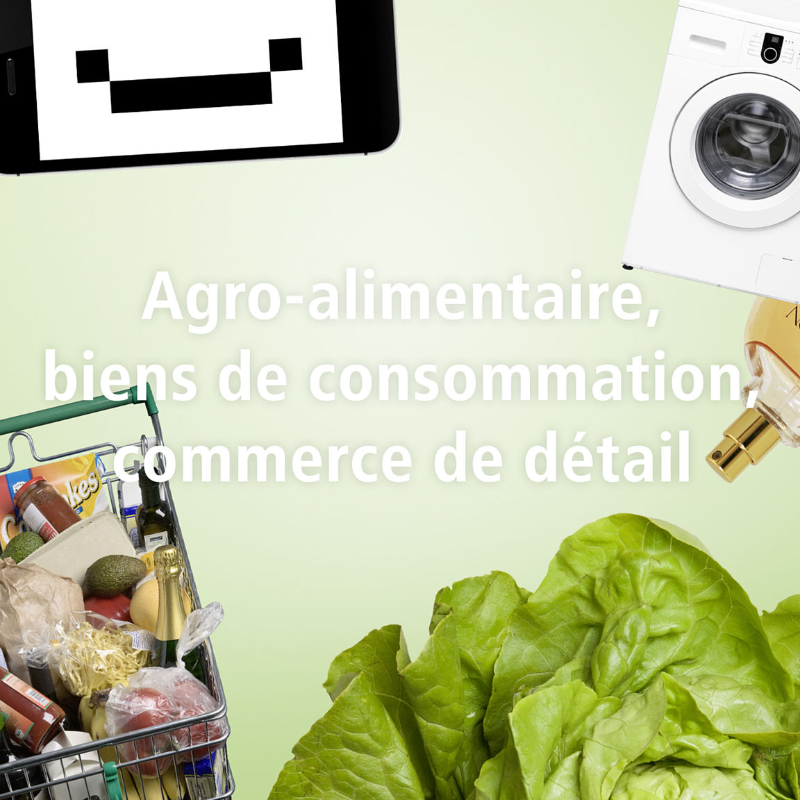 Agro-alimentaire, biens de consommation, commerce de détail